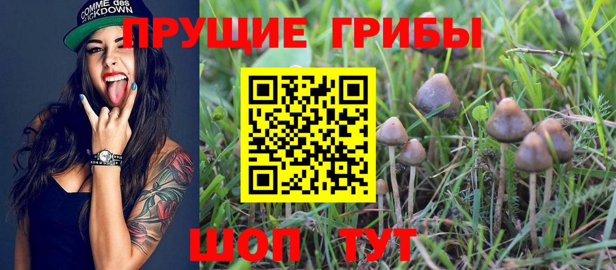 Галлюциногенные грибы ЛСД Зерноград