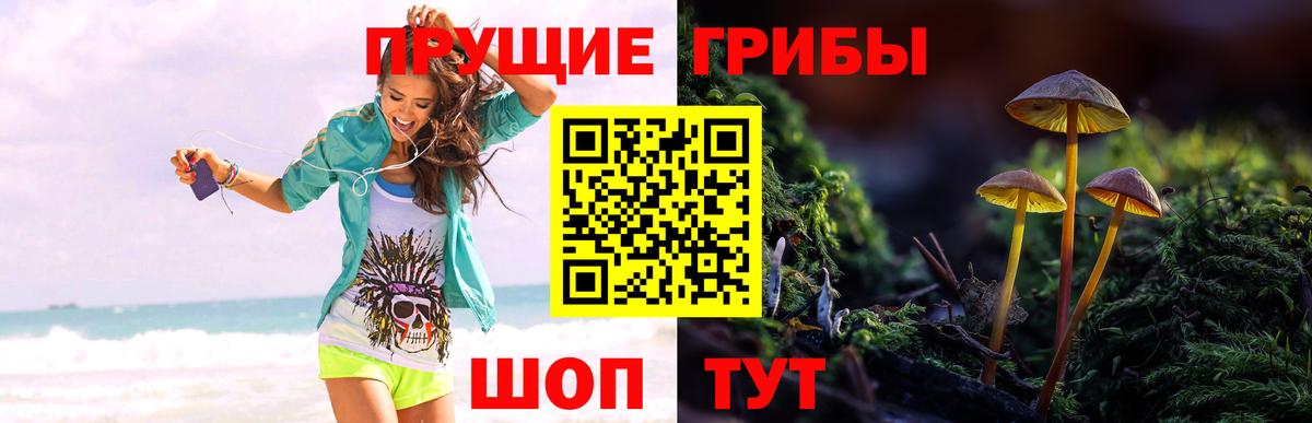 Зерноград  купить наркотики сайты  Вход с VPN  Галлюциногенные грибы прущие грибы 